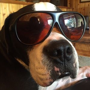 Meet your Posher, Delaney